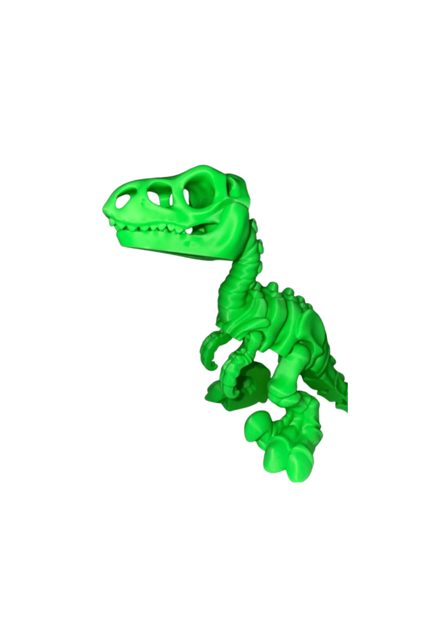 Untitled Design 17 1 Green 3D printed raptor skeleton toy, detailed and articulated for display.